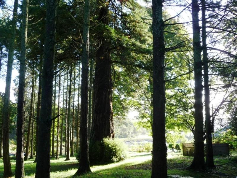 Slebech Park Restaurant & Rooms - Genel