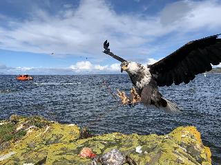 Glenapp Castle fotoÄŸrafÄ±