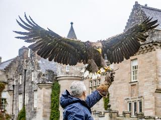 Glenapp Castle fotoÄŸrafÄ±
