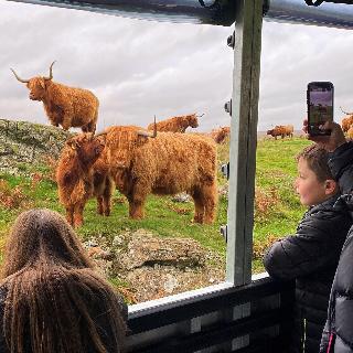 Glenapp Castle fotoÄŸrafÄ±
