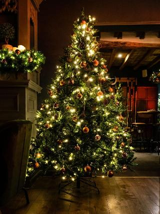 The Vicarage Freehouse & Rooms fotoÄŸrafÄ±