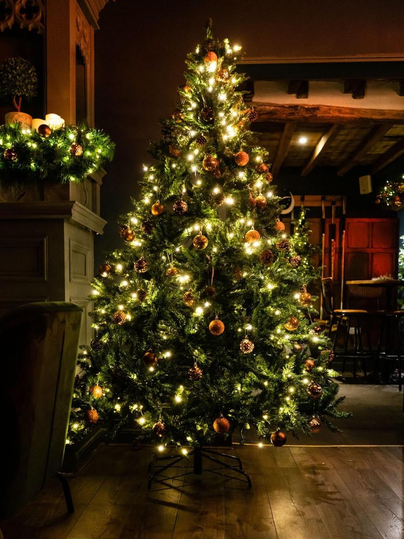 The Vicarage Freehouse & Rooms - Lobi