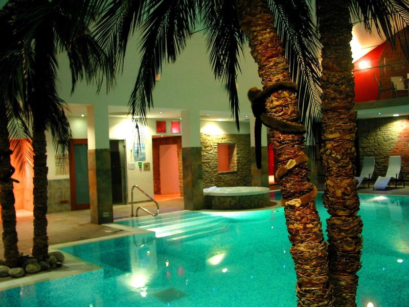 The Burton Hotel And Cloud Nine - Havuz