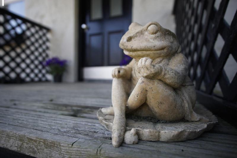 Toadhall Rooms - Genel