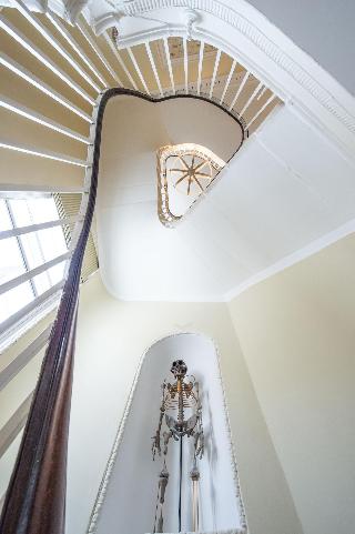 Darwin's Townhouse fotoÄŸrafÄ±