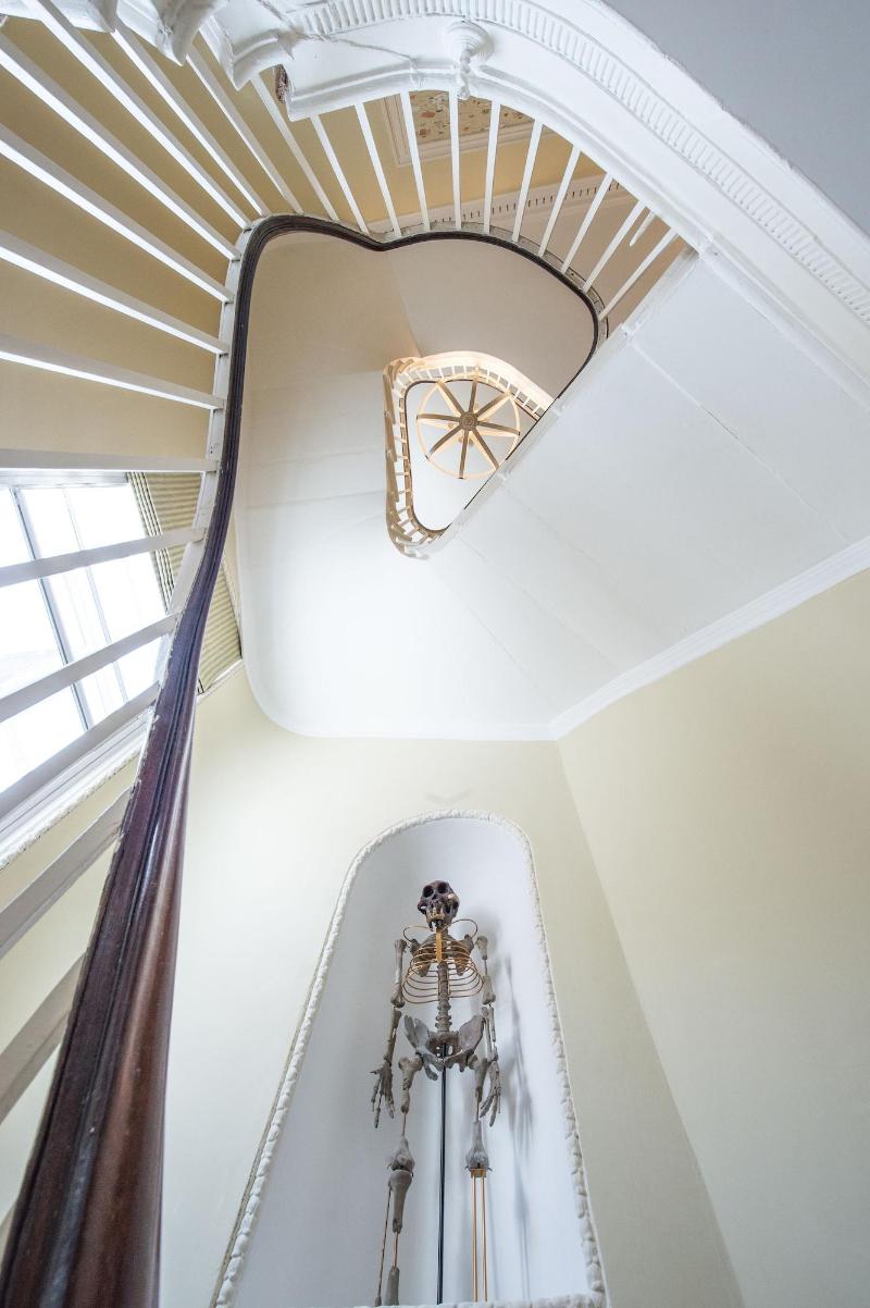 Darwin's Townhouse - Lobi