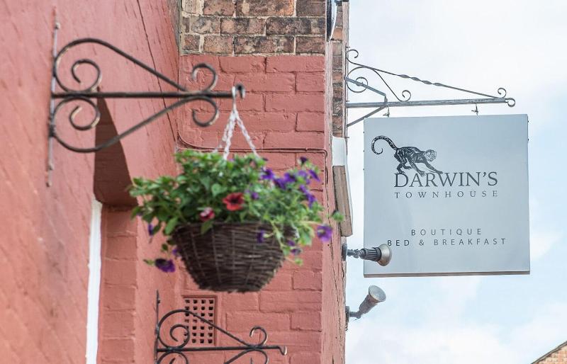 Darwin's Townhouse - Genel