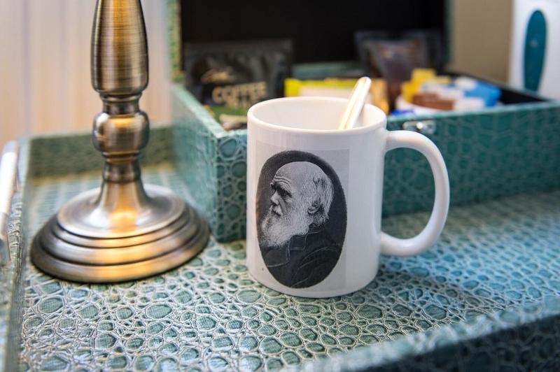 Darwin's Townhouse - Oda