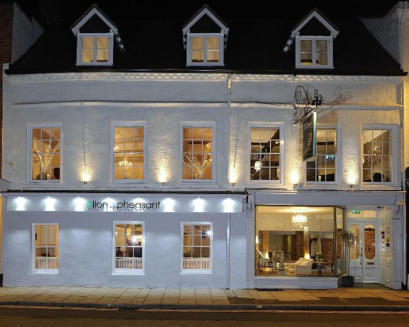 Lion And Pheasant Hotel - Genel