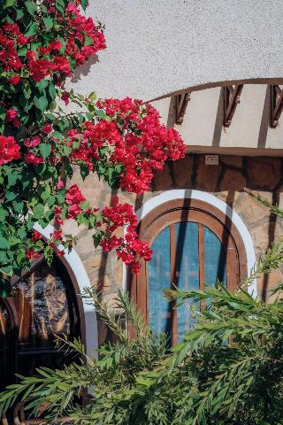 Seti Abu Simbel Hotel fotoÄŸrafÄ±