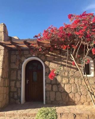 Seti Abu Simbel Hotel fotoÄŸrafÄ±