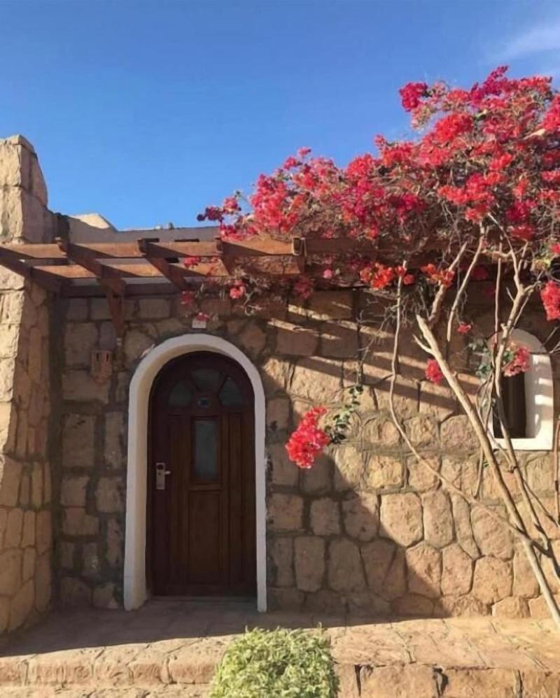 Seti Abu Simbel Hotel - Genel
