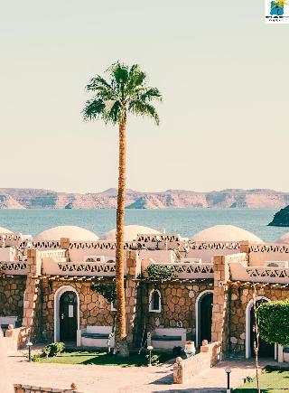 Seti Abu Simbel Hotel fotoÄŸrafÄ±