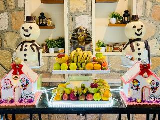 Seti Abu Simbel Hotel fotoÄŸrafÄ±