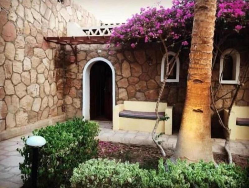 Seti Abu Simbel Hotel - Teras