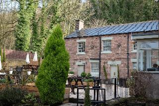 The Family Tree fotoÄŸrafÄ±