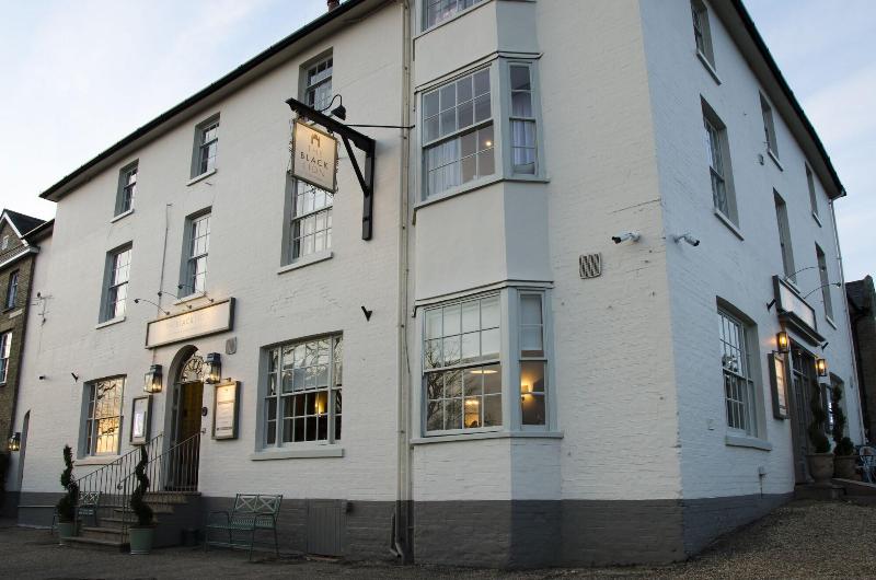 The Black Lion, Long Melford - Genel