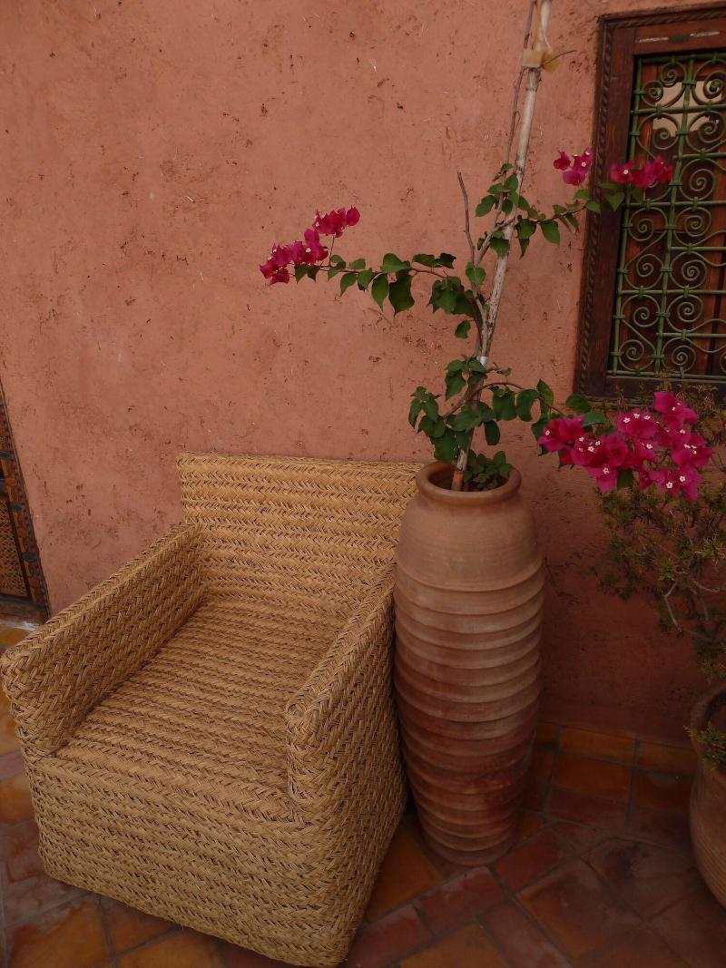 Riad Cascades d'Ouzoud - Teras