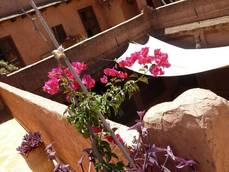 Riad Cascades d'Ouzoud - Teras