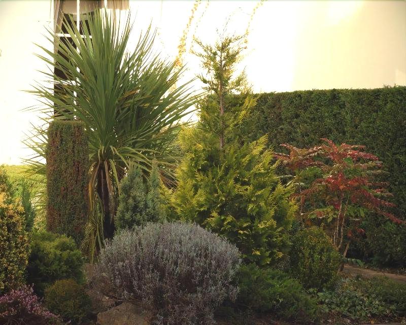 Park House Hotel - Genel