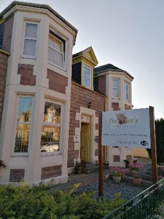 The Coo's Guest House fotoÄŸrafÄ±