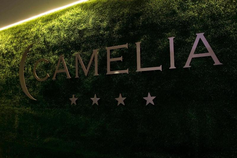 Hotel Camelia - Genel