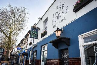 The Dark Horse Pub otel fotoğrafı