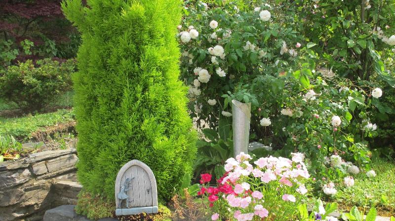 Five Oaks Bed & Breakfast - Genel