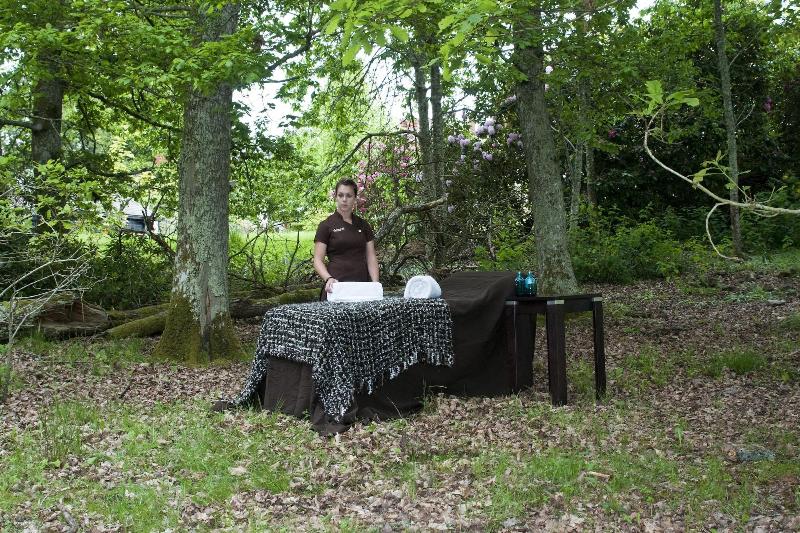 Rhinefield House Hotel - Genel