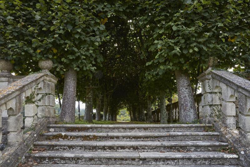 Rhinefield House Hotel - Genel