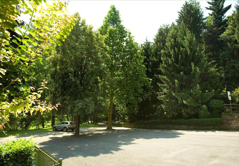 Albergo Il Castellino - Genel