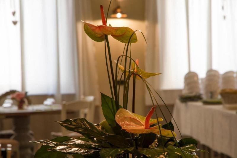 Hotel Europa - Restoran
