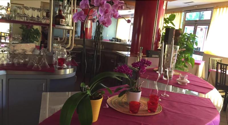 Hotel Garden - Bar