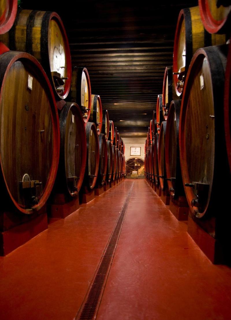 Castello Di Roncade - Lobi