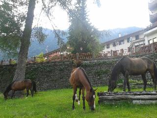 Bella Italia & Efa Village fotoÄŸrafÄ±