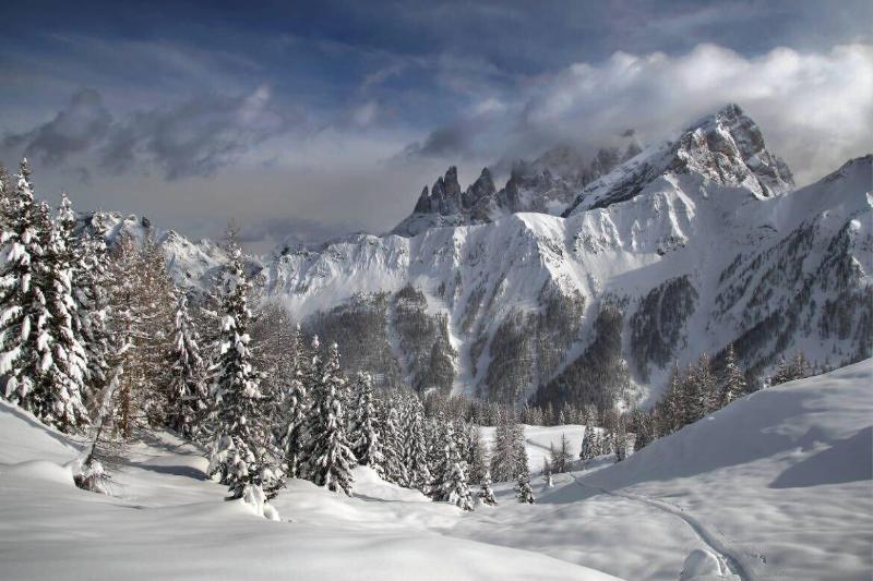 Hotel Stella Alpina - Aktivite