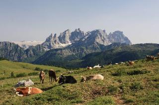 Hotel Stella Alpina fotoÄŸrafÄ±
