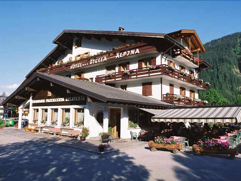 Hotel Stella Alpina - Genel