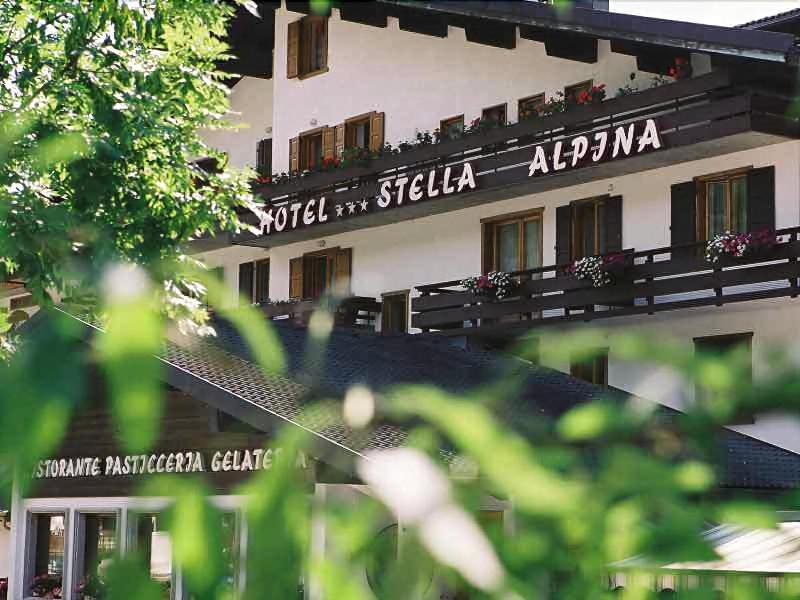 Hotel Stella Alpina - Genel