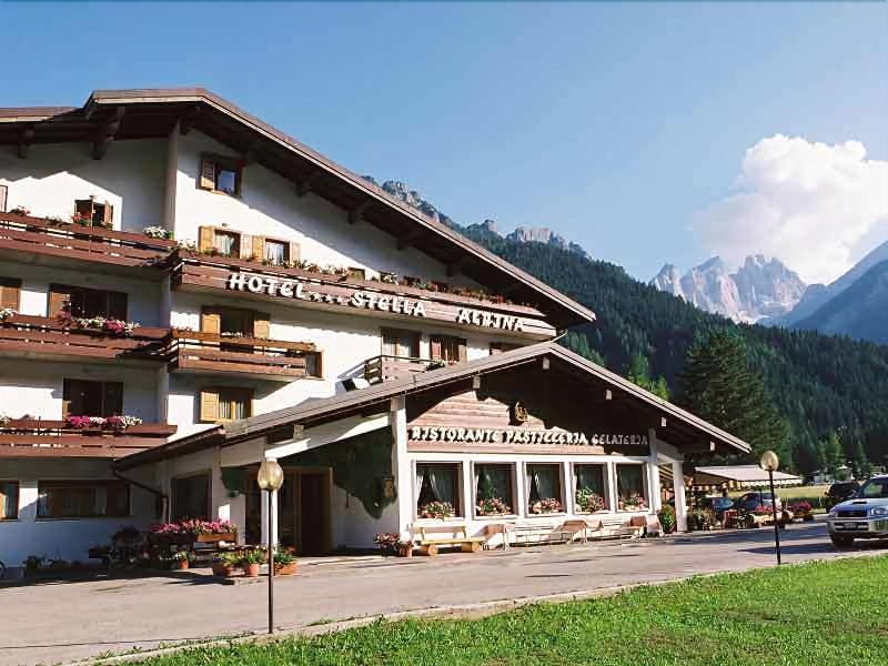Hotel Stella Alpina - Genel