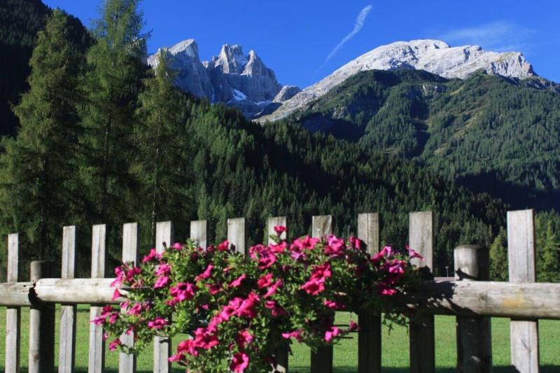 Hotel Stella Alpina - Genel
