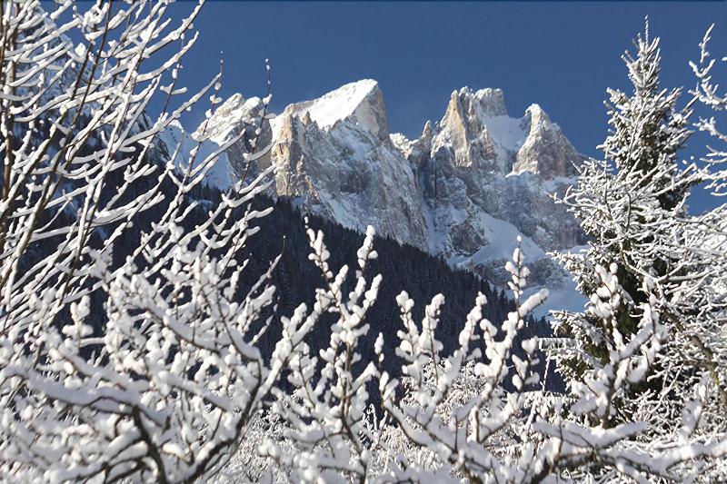 Hotel Stella Alpina - Genel