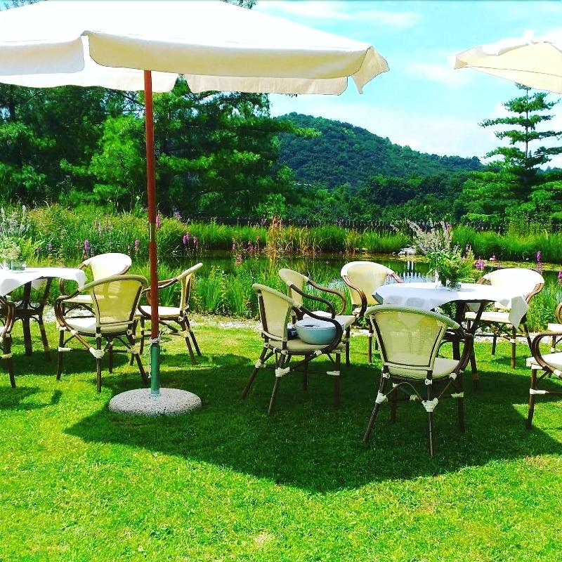 Agriturismo Borgoluce - Aktivite