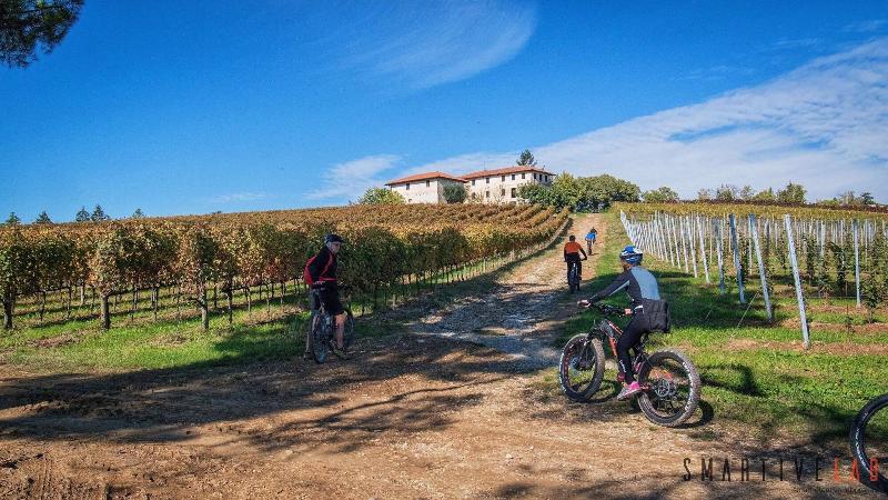 Agriturismo Borgoluce - Aktivite