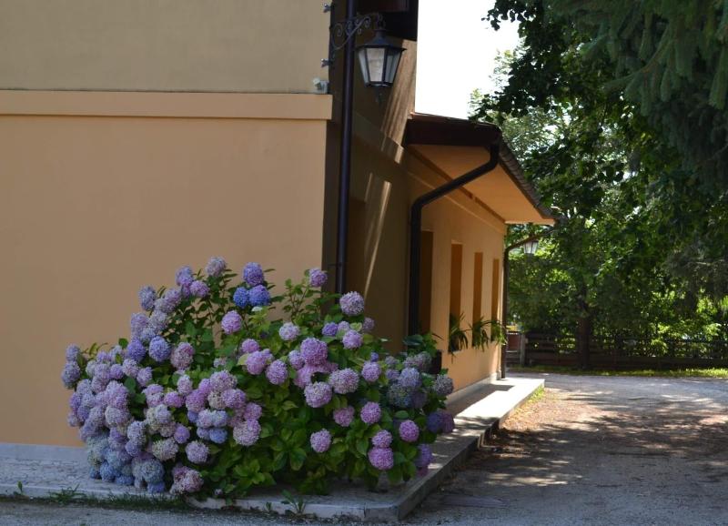 Albergo Da Gildo - Genel