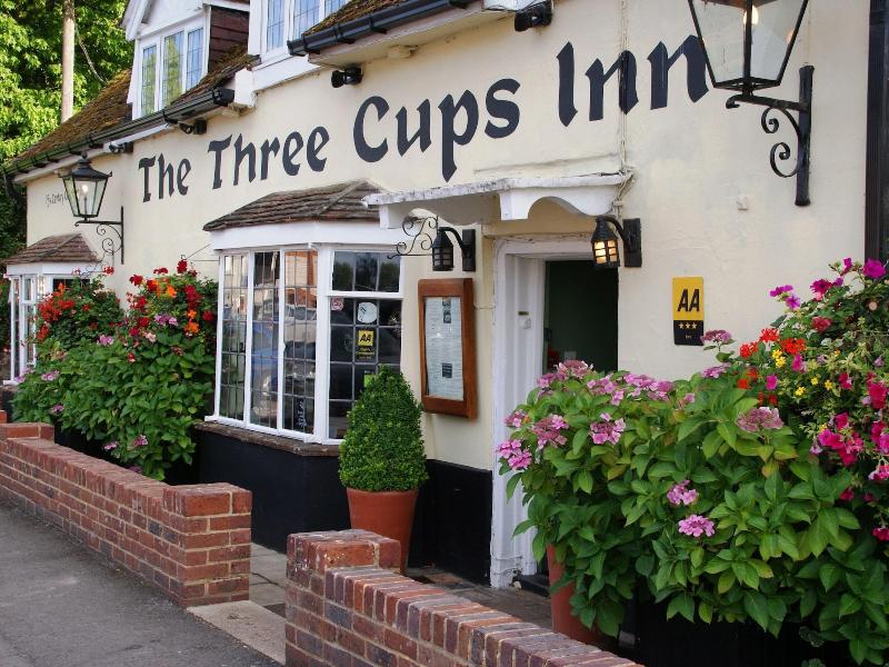The Three Cups Inn - Genel