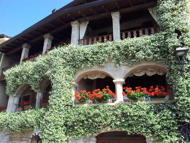 Albergo Ristorante Gardesana - Genel