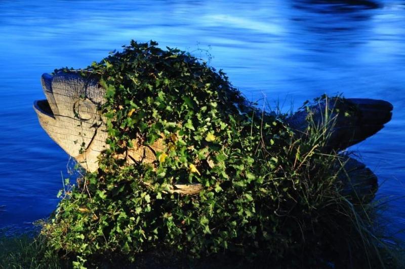 La Finestra Sul Fiume - Genel