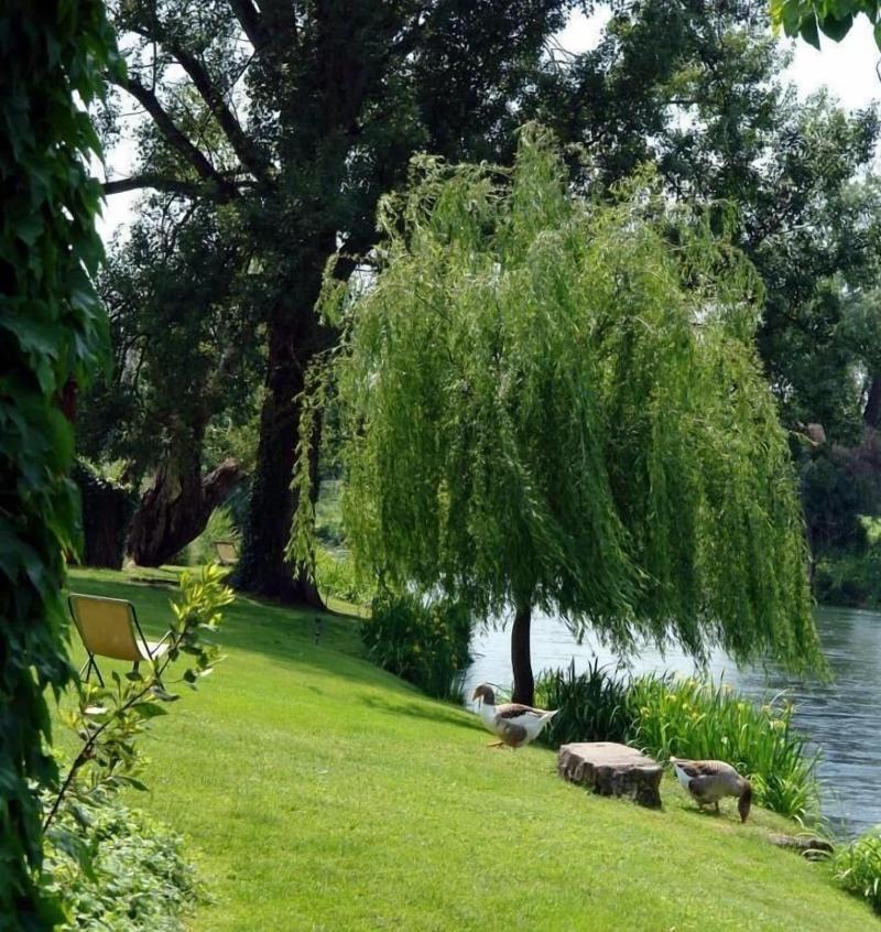 La Finestra Sul Fiume - Genel