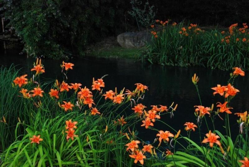 La Finestra Sul Fiume - Genel